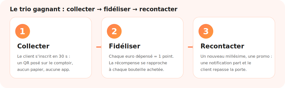 Schéma en 3 étapes de la fidélisation caviste : collecter, fidéliser, recontacter